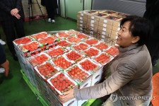 농식품부 장관, 딸기 농가 찾아 수급 상황 점검
