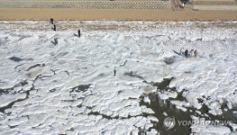 한파에 꽁꽁 언 동막해수욕장