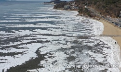 한파에 꽁꽁 언 동막해수욕장