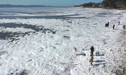 한파에 꽁꽁 언 동막해수욕장