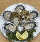 신안 1004 굴 홍콩 수출 본격화