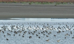[인천소식] IPA, 수상태양광 추진 영종도 투기장서 팸투어