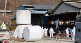 구제역 발생한 한우농장