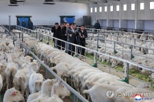 북한, 삼광축산농장 조업