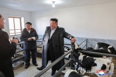 북한, 삼광축산농장 조업