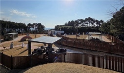 울주군에 첫 반려동물 놀이터…3월부터 무료 시범운영