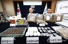 주택가까지 침투한 대마