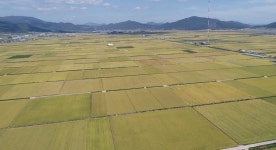 보성군, 재생에너지 활용 햇빛소득 마을사업 추진