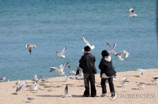 봄날 같은 경포