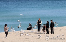 봄날 같은 경포