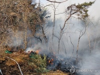 경남 밀양시 삼랑진읍 산불
