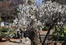 경남은 봄 도착