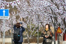 효창공원 앞 태극기거리 조성