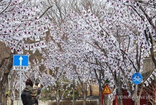 효창공원 앞 태극기거리 조성