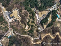 춘천 강아지숲, 도그페스타 21일 개막…반려견 무료입장