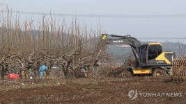 과수화상병 감염 농장 매몰