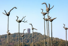 [걷고 싶은 길] 하루쯤 대통령이 된 기분으로…청남대 숲길 걷기