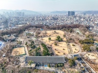 [여행honey] 대구여행 2題…측백나무 숲과 달성토성