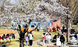 봄빛별빛 유통 | '봄날의 놀이동산' 김제 꽃빛드리축제 내달 3∼5일 개최