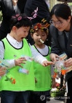 함평나비축제 성공기원 나비날리기