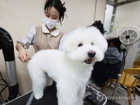 예쁘게 해주세요