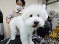 예쁘게 해주세요