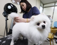 예쁘게 해주세요