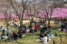 사계절 축제 이어지는 도시로…부천 페스타 본격화
