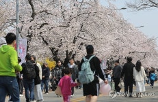 벚꽃 축제에 편의점들도 활짝…주요 벚꽃 명소 매출 급증