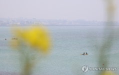 흐려도 좋아
