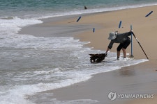 미역 건지는 주민…강릉 사천해변