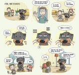 인천교육청, 수의사와 함께하는 동물사랑 교육 운영