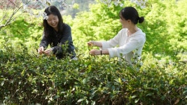 Foto aus Naver-Suchergebnissen 4