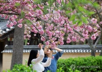 봄의 추억 만들기…강릉 허균허난설헌기념공원