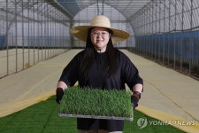 경기 최북단 논을 지키는 청년 농부
