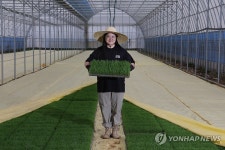 경기 최북단 논을 지키는 청년 농부