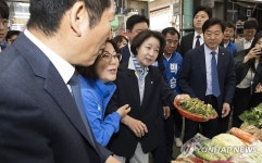 올네이션안성맞춤경기지사 | 안성맞춤 시장 찾은 민주당