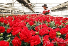 가정의 달 5월 앞둔 화훼농원