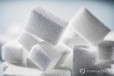 설탕 섭취 유럽 1위 독일도 설탕세 도입 추진