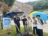 광주한울초, 오월 역사 품은 5·18 회화나무 후계목 심어