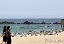 동해 어달해변의 돌탑