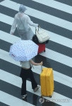 부산, 우산 쓰고 횡단보도 건너는 관광객들