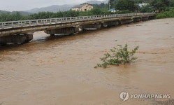 홍수경보 발효된 병천천