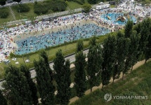 나무 옆 물놀이장