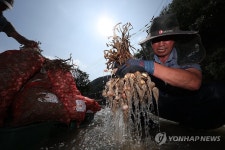 [르포] 괴물산불이 할퀸 마을, 이번에는 극한 폭우가 삼켰다