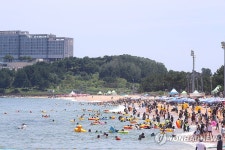 평일에도 북적이는 해변