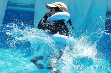 물속으로 풍덩… 무더위 잊은 어린이들