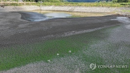 쩍 갈라진 밀양 웅동저수지