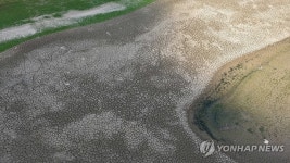 밀양 웅동저수지 14일 저수율 0％