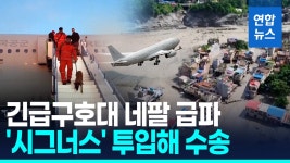[영상] 긴급구호대 44명 네팔 파견…신속대응팀과 수색 총력